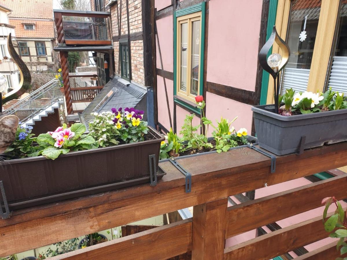 Ferienwohnung Goldstr.7 Quedlinburg Esterno foto